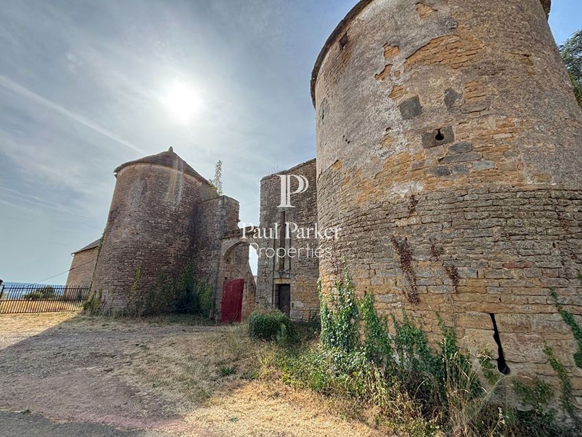 Image de  château à Saint-André-le-Désert