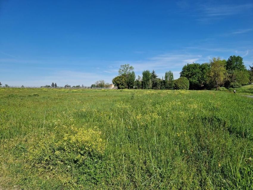 Image de terrain à Saint-Pierre-de-Mons