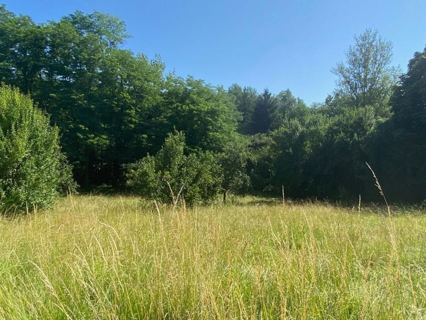 Image de terrain à Saint-Genès-de-Lombaud
