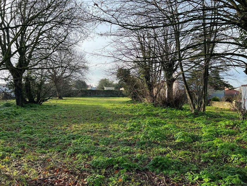 Image de terrain à Saint-Pierre-d'Oléron