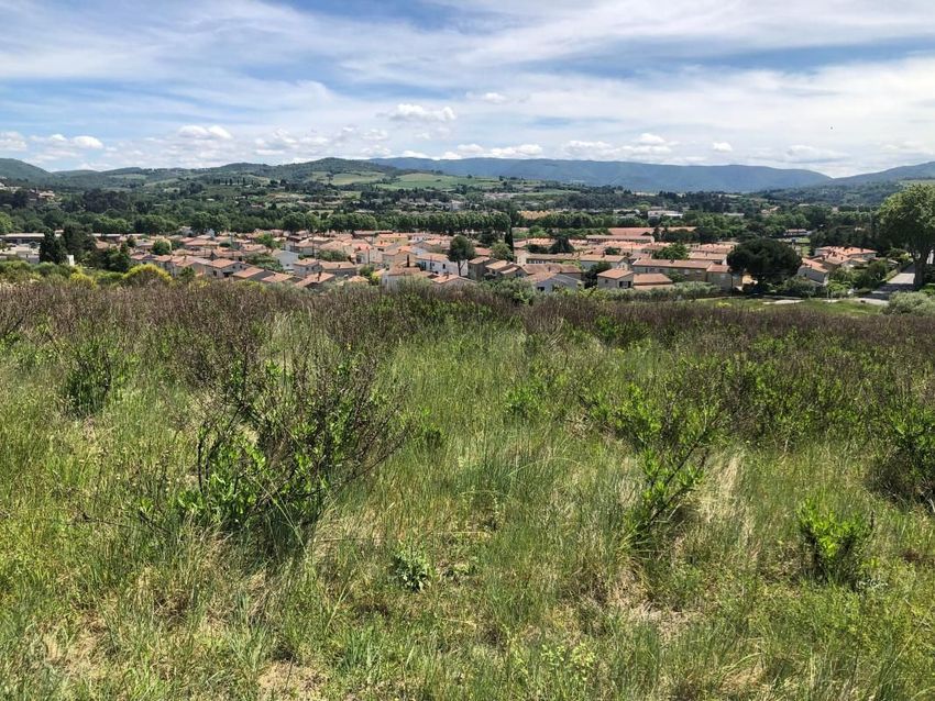 Image Vue à terrain de Limoux