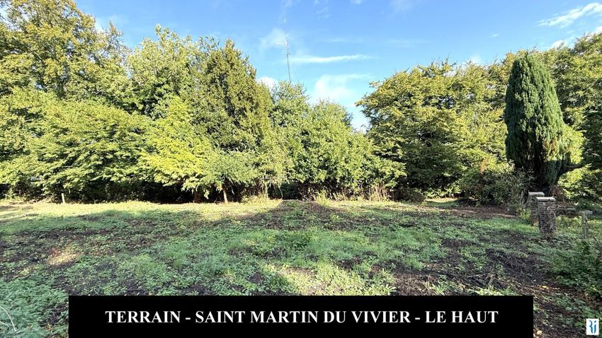 Image de terrain à Saint-Martin-du-Vivier