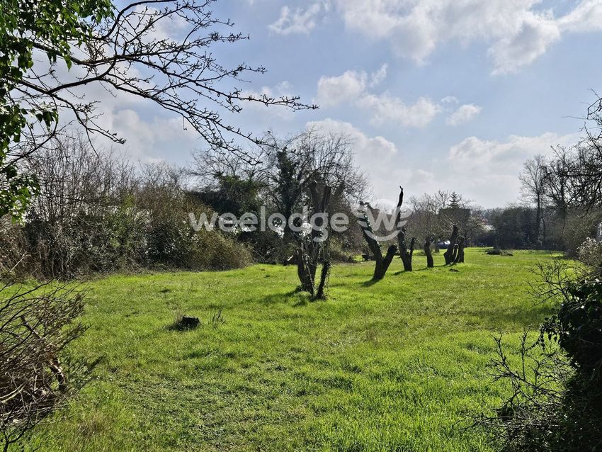 Image de terrain à Neuville-sur-Oise