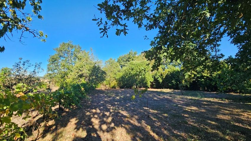 Image de terrain à Moirax