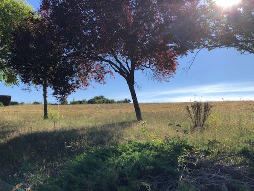 Image de terrain à Auxerre