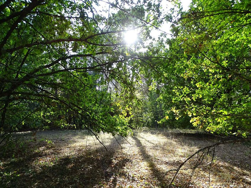 Image de terrain à Saint-Laurent-des-Hommes