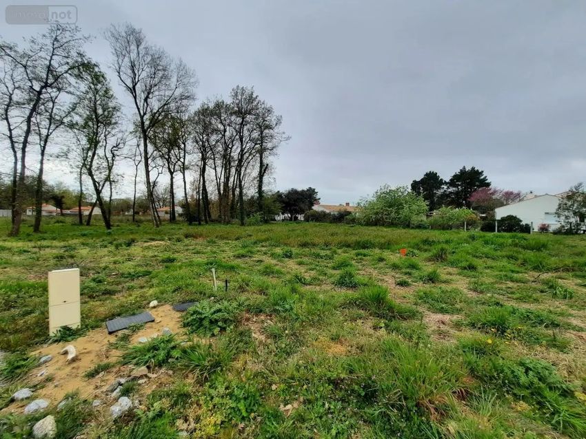 Image de terrain à Saint-Hilaire-de-Riez
