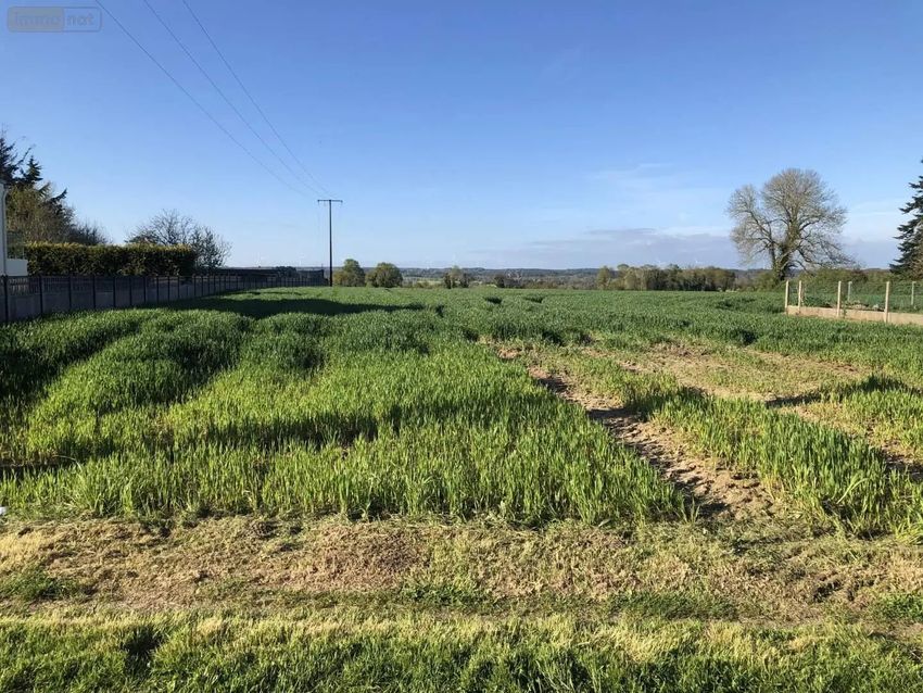 Image de terrain à Peillac
