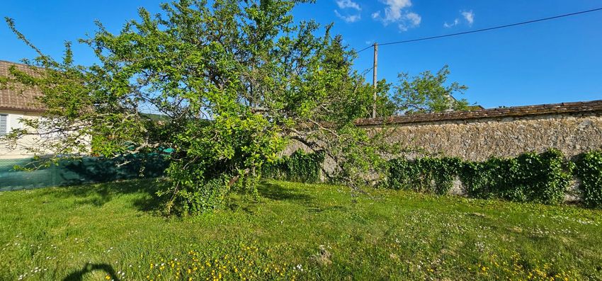 Image de terrain à Thomery
