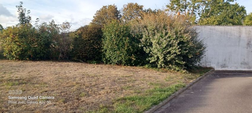 Image de terrain à Saint-Armel