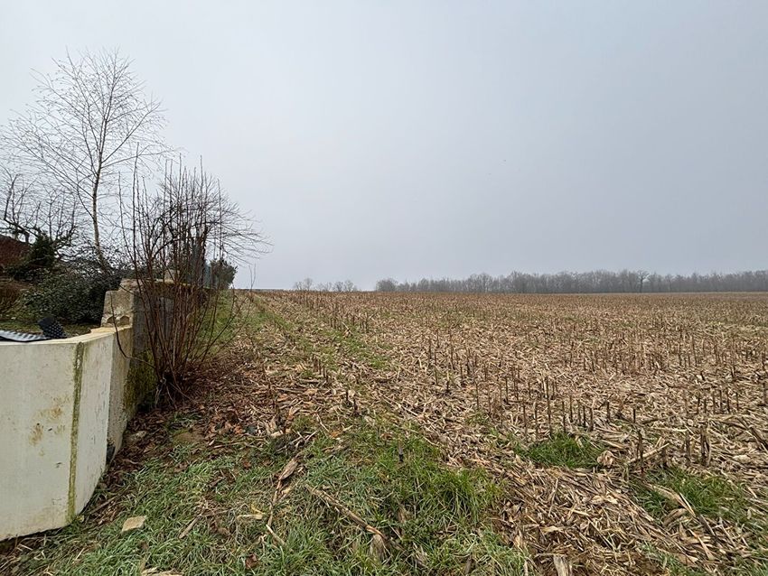 Image de terrain à Ruhans