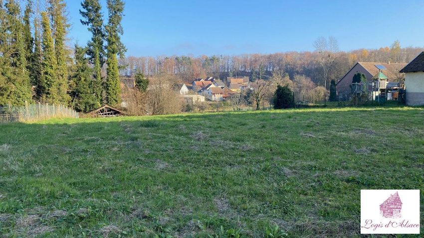 Image de terrain à Riespach