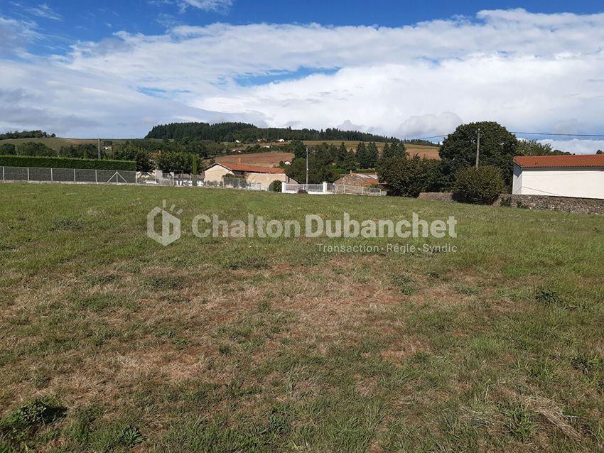Image de terrain à Montchal