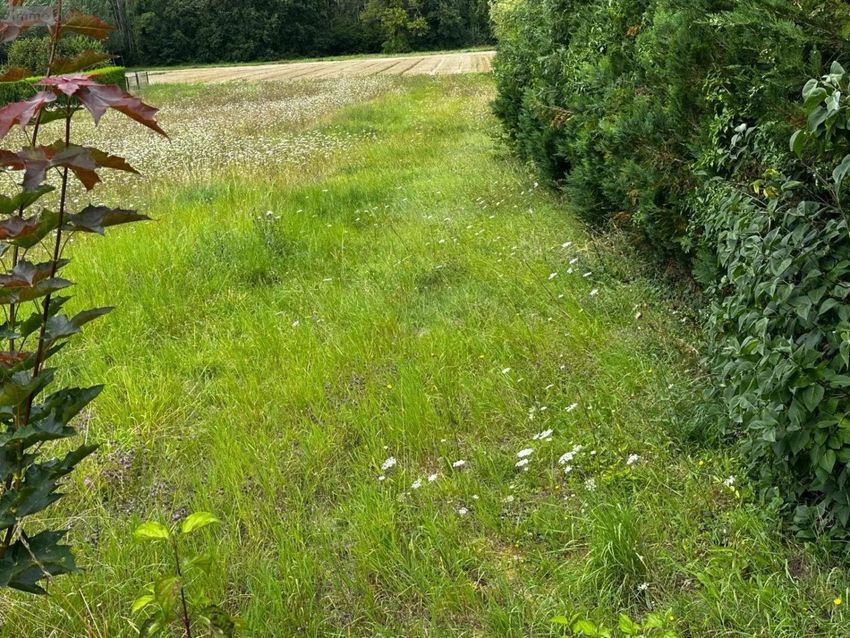 Image de terrain à Champlay