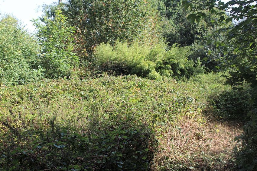 Image Jardin à  maison individuelle de Saint-Gonnery