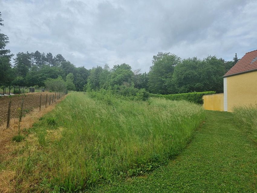Image de terrain à Venoy