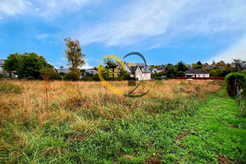 Image de terrain à Sainte-Maure-de-Touraine