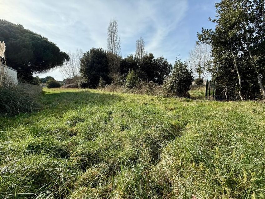 Image de terrain à Le Grand-Village-Plage