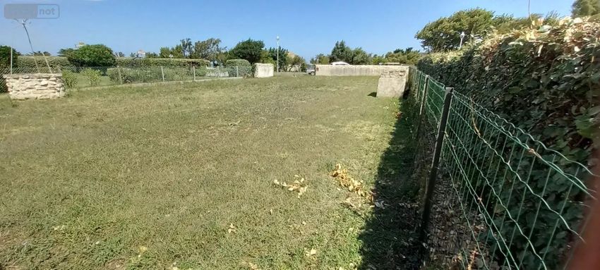 Image de terrain à Saint-Denis-d'Oléron