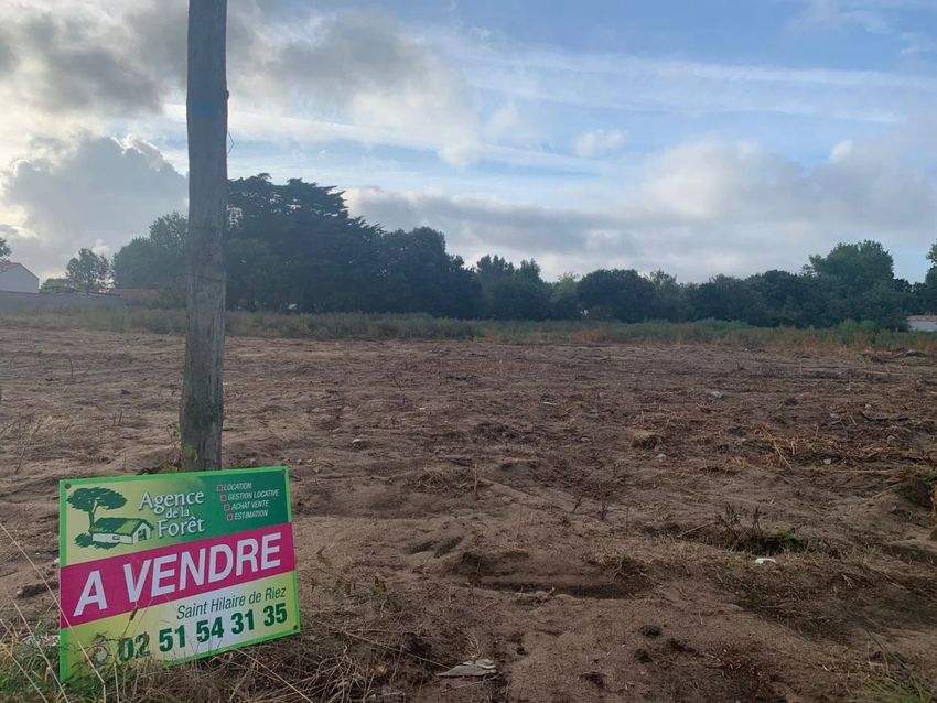 Image de terrain à Saint-Hilaire-de-Riez
