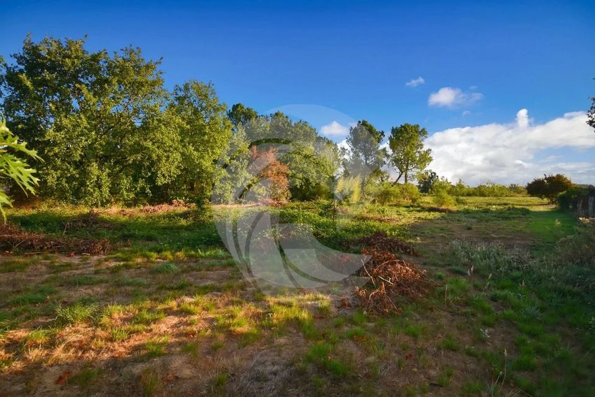 Image de terrain à Montauban