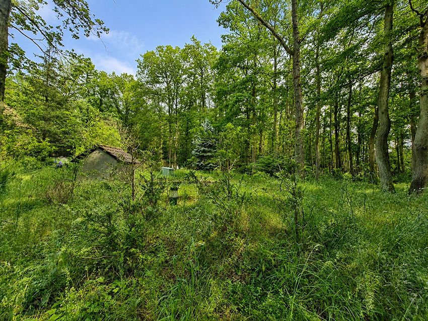 Image de terrain à Bouglainval