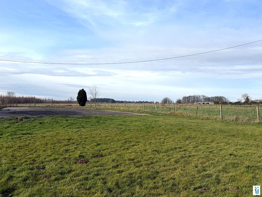 Image de terrain à Montville