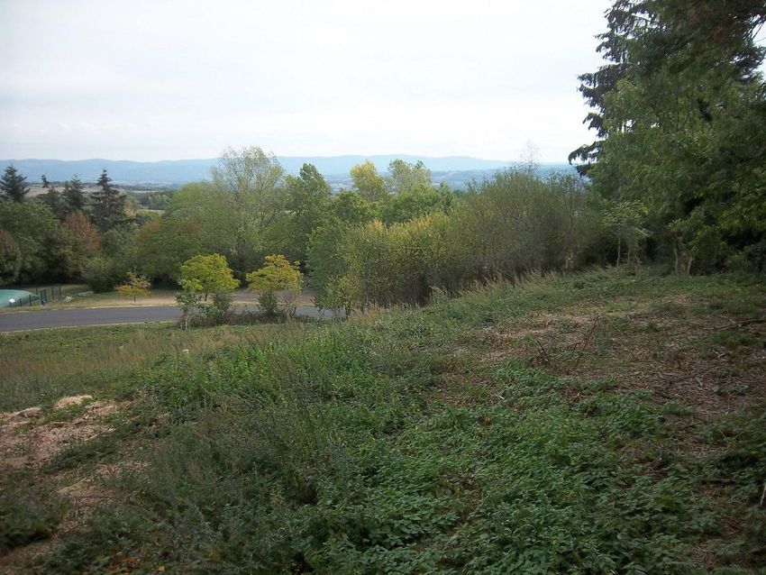 Image de terrain à Égliseneuve-près-Billom