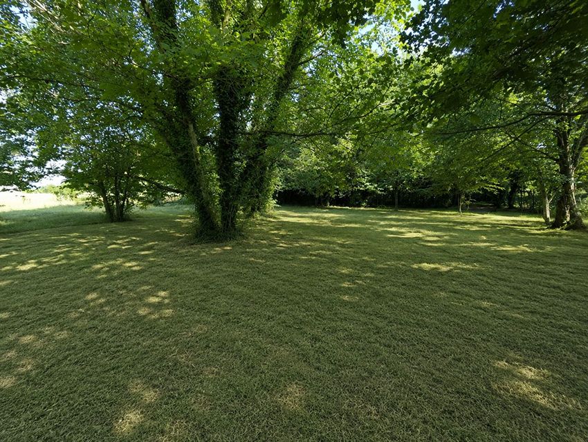 Image de terrain à Fongrave