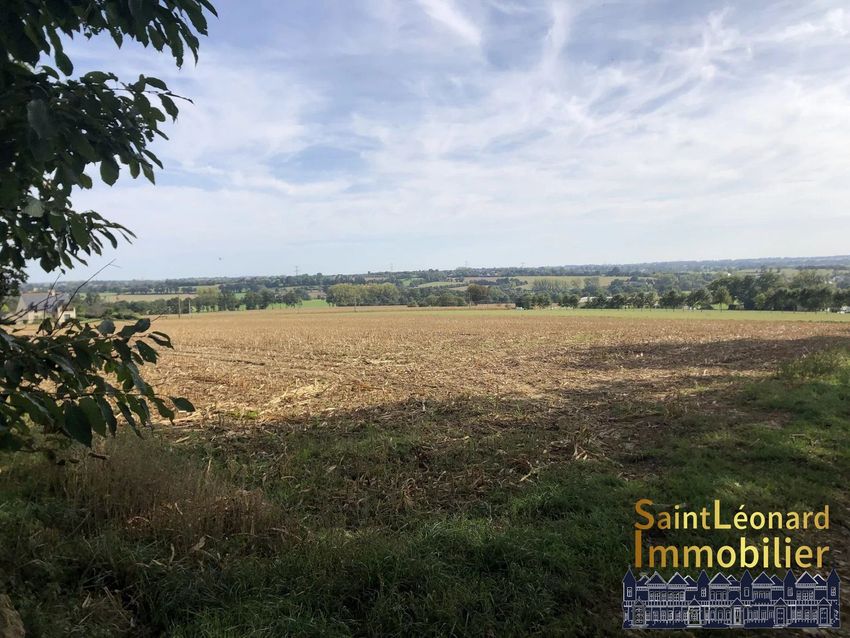 Image de terrain à La Chapelle-Saint-Aubert