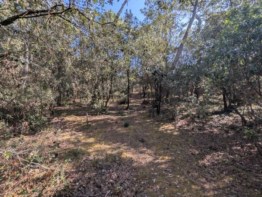 Image de terrain à Les Mathes