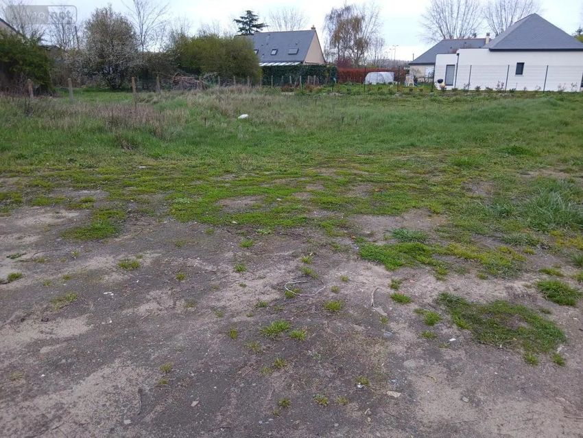 Image de terrain à Beaufort-en-Anjou
