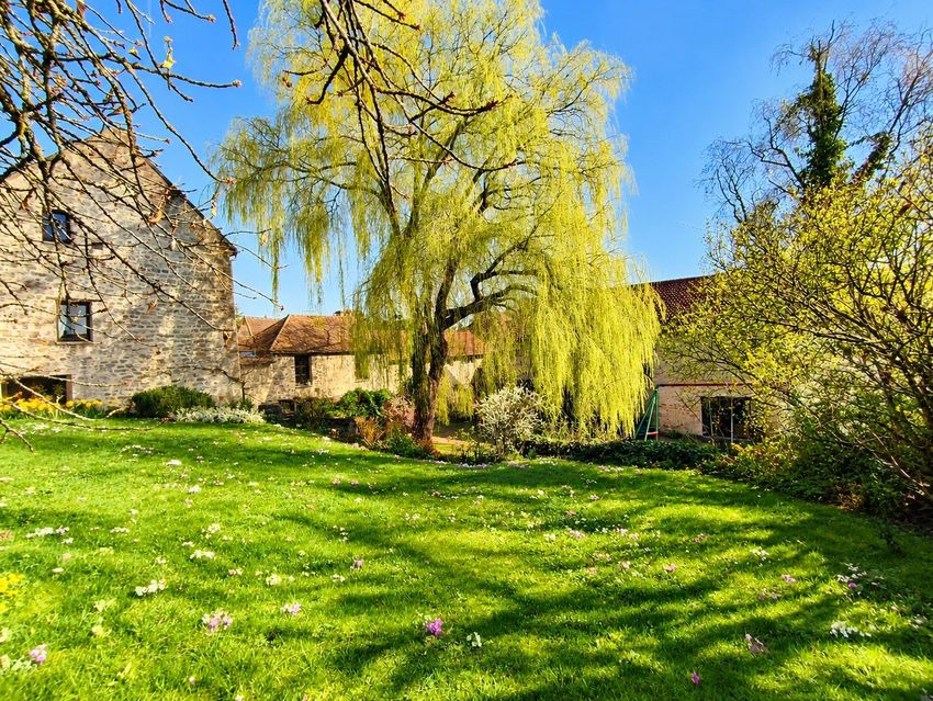 Image Jardin à  maison individuelle de Pontoise