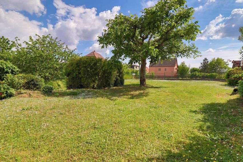 Image de terrain à Hattstatt
