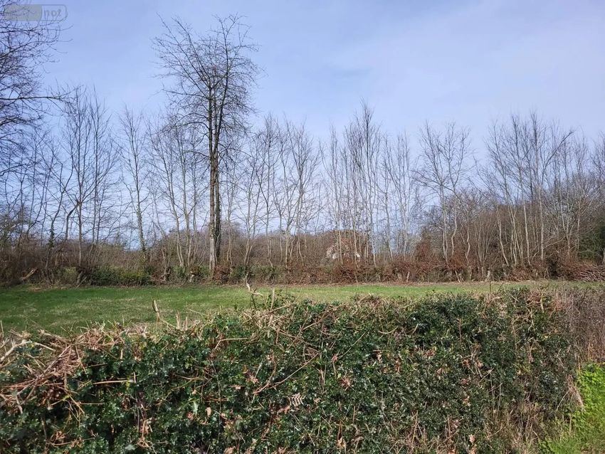 Image de terrain à Maison-Feyne