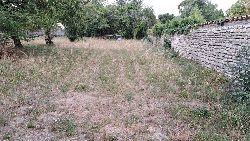 Image de terrain à Vérines