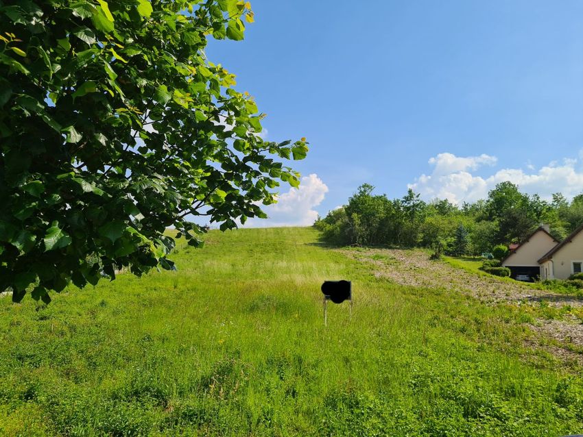 Image de terrain à Val-de-Mercy