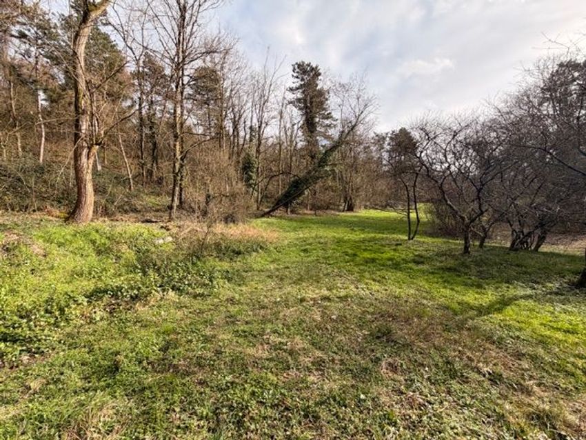 Image de terrain à Sathonay-Camp