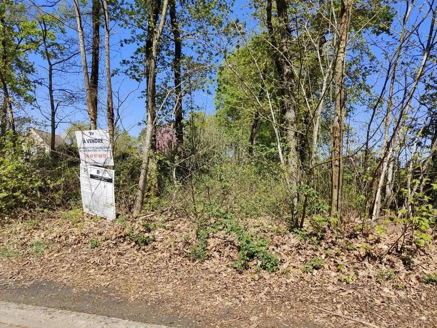 Image de terrain à Luzillé