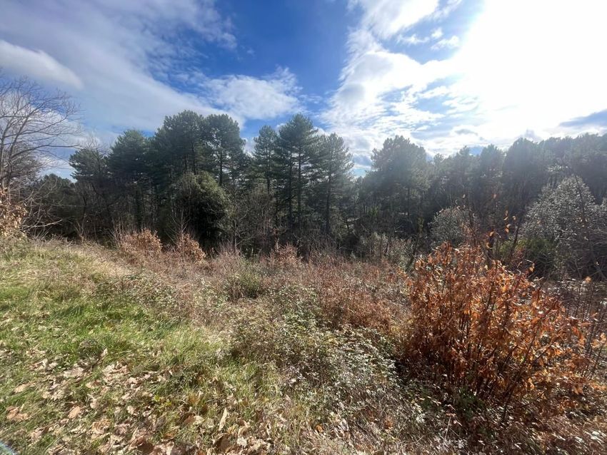 Image de terrain à Ribes