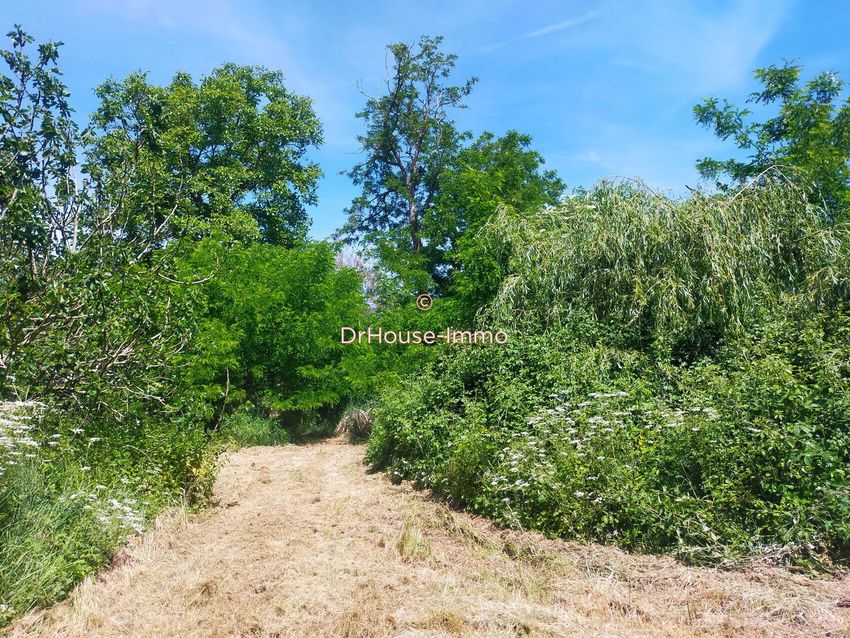 Image de terrain à Chevannes
