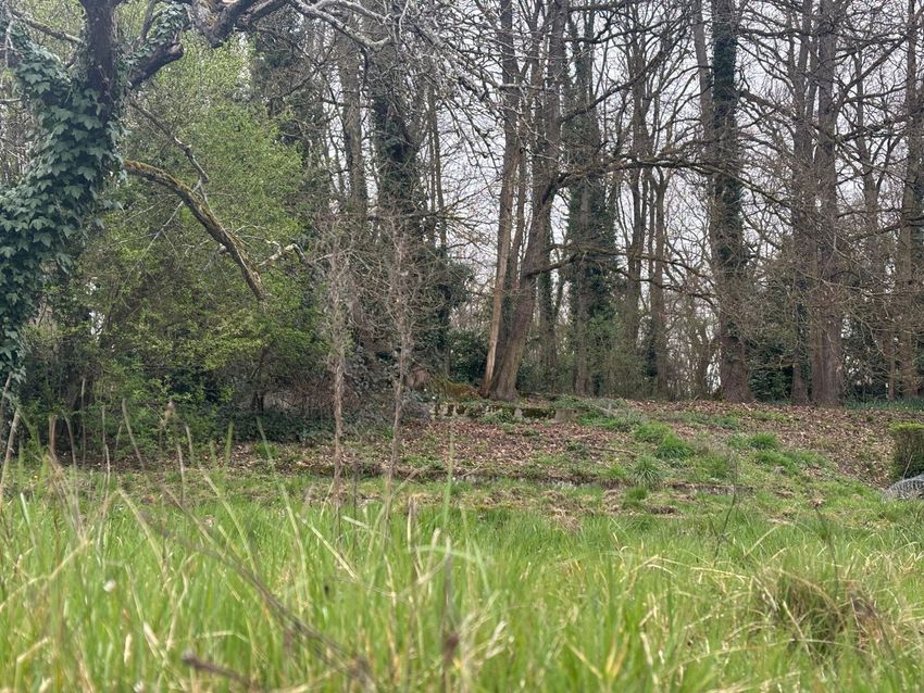 Image de terrain à Saint-Pierre-lès-Nemours