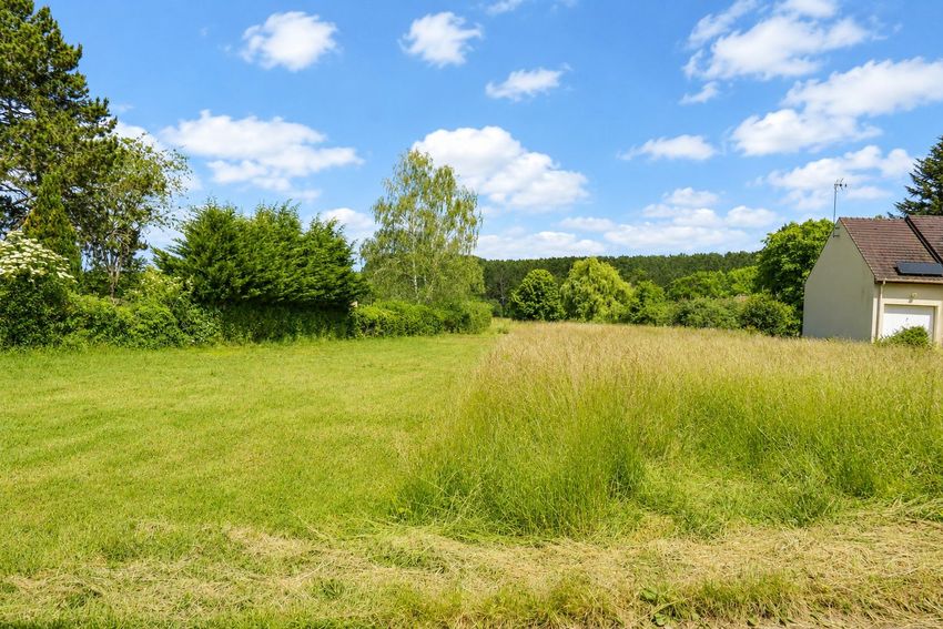 Image de terrain à Chaudon