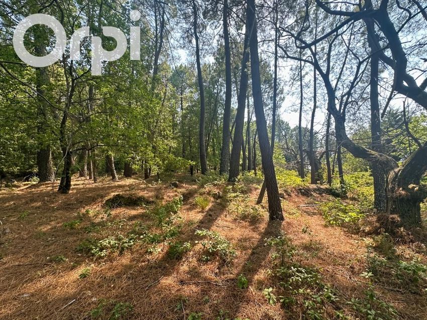 Image de terrain à Ailhon