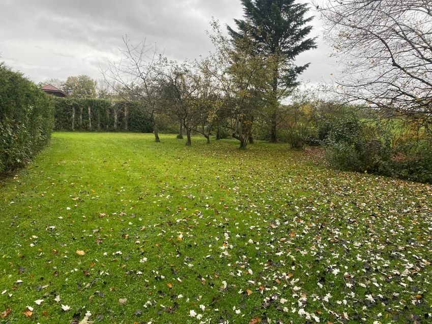 Image de terrain à Fillière