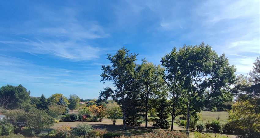 Image de terrain à Saint-Caprais-de-Bordeaux