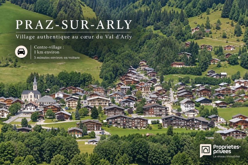 Image de terrain à Praz-sur-Arly