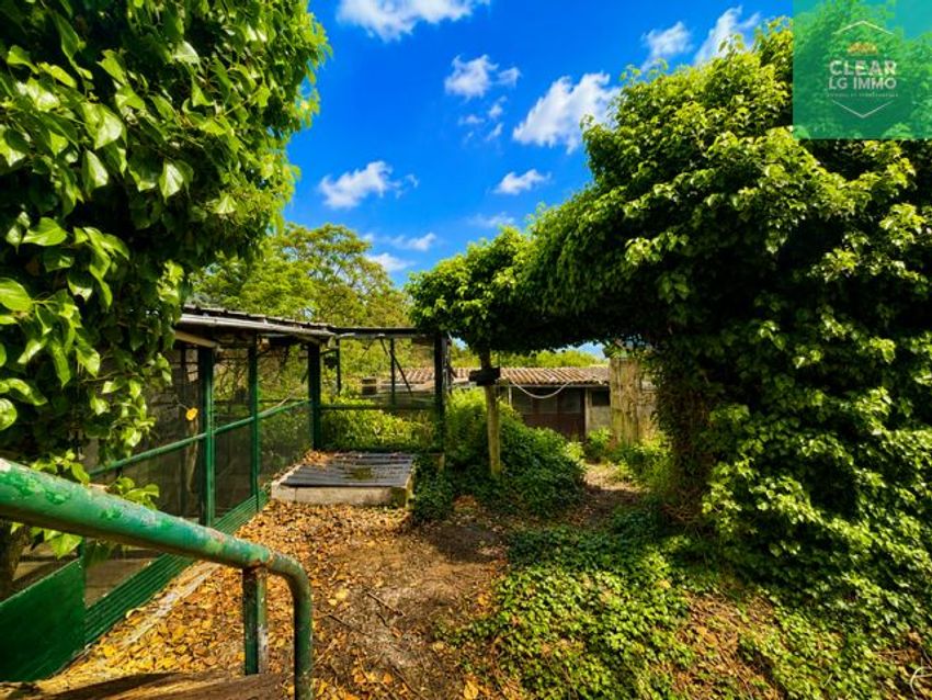 Image Jardin à  maison individuelle de Maizières-lès-Metz
