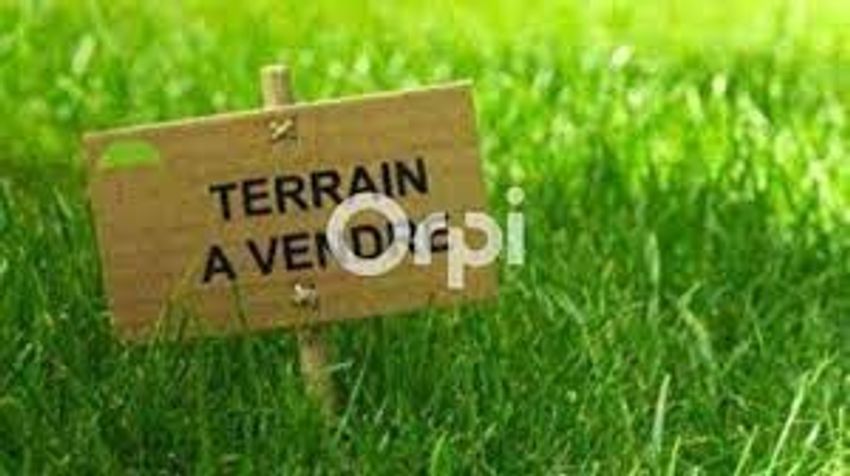 Image de terrain à Mano