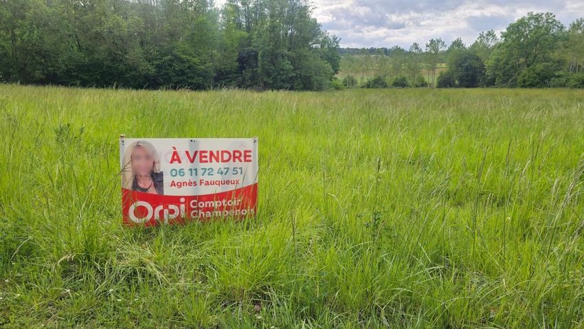 Image de terrain à Faverolles-et-Coëmy